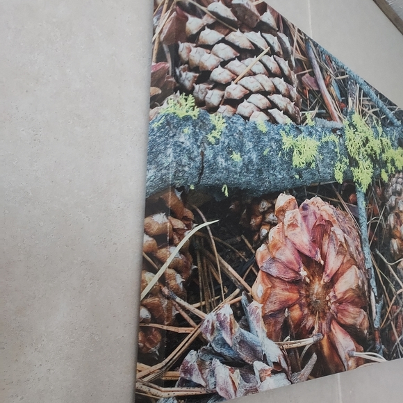 Pine cone canvas painting - Picture 3 of 5